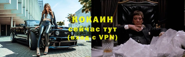 сатива Дмитров