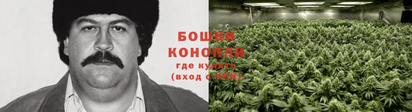 экстази Дмитриев