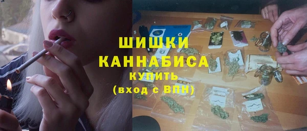 мдпв Дмитровск