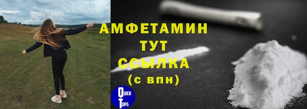 мдпв Дмитровск