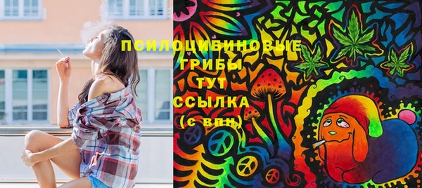 экстази Дмитриев