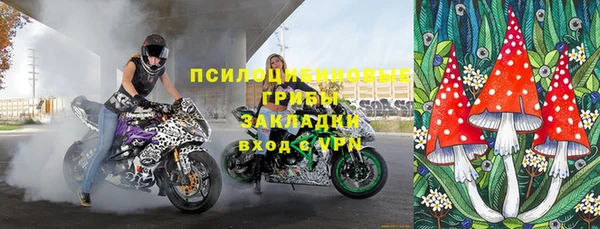 мдпв Дмитровск
