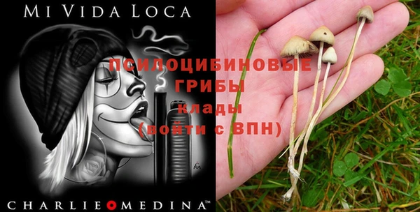 экстази Дмитриев