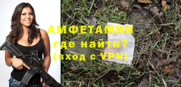 мдпв Дмитровск