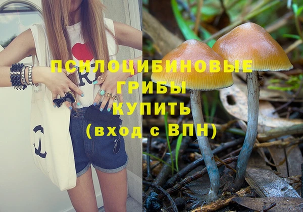 мдпв Дмитровск