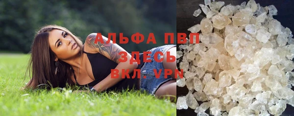сатива Дмитров