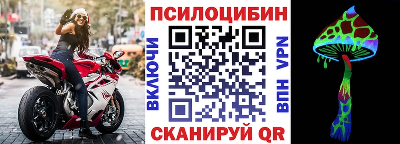 Галлюциногенные грибы Psilocybe  darknet телеграм  Мостовской 